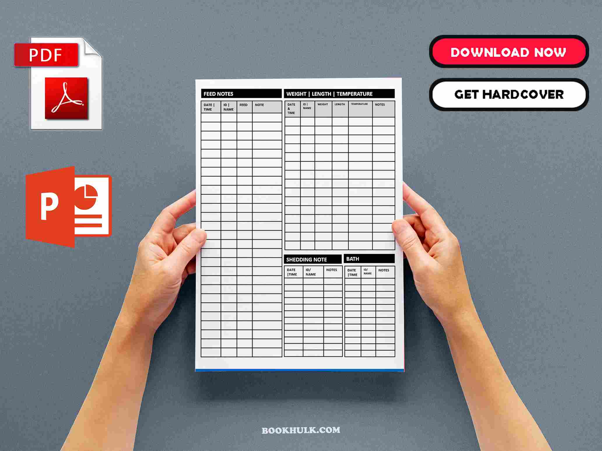 Snake Care Chart Template
